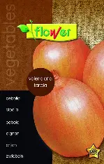 CEBOLLA VALENCIANA (SOBRES DE SEMILLAS)