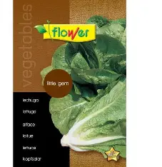 LECHUGA LITTLE GEM (SOBRES DE SEMILLAS)