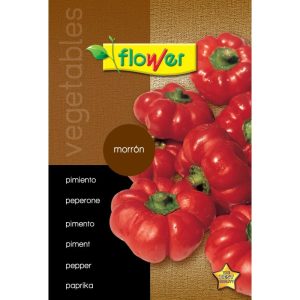 PIMIENTO MORRON
